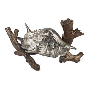 Sterling Industries Conch Shell On Branch