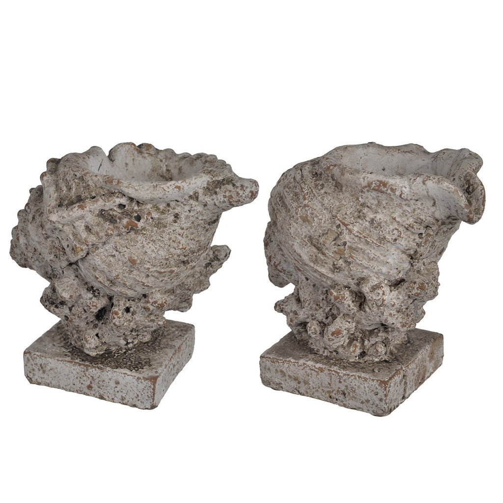 A&B Home Natura Conch Shell Candle Holders - 2Pc/Box - Set of 4