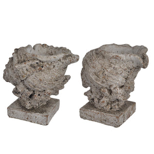 A&B Home Natura Conch Shell Candle Holders - 2Pc/Box - Set of 4