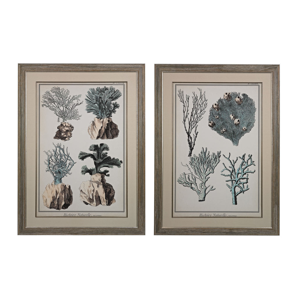 Sterling Industries Oversized Coral Species I, II - Fine Art Giclee Under Glass