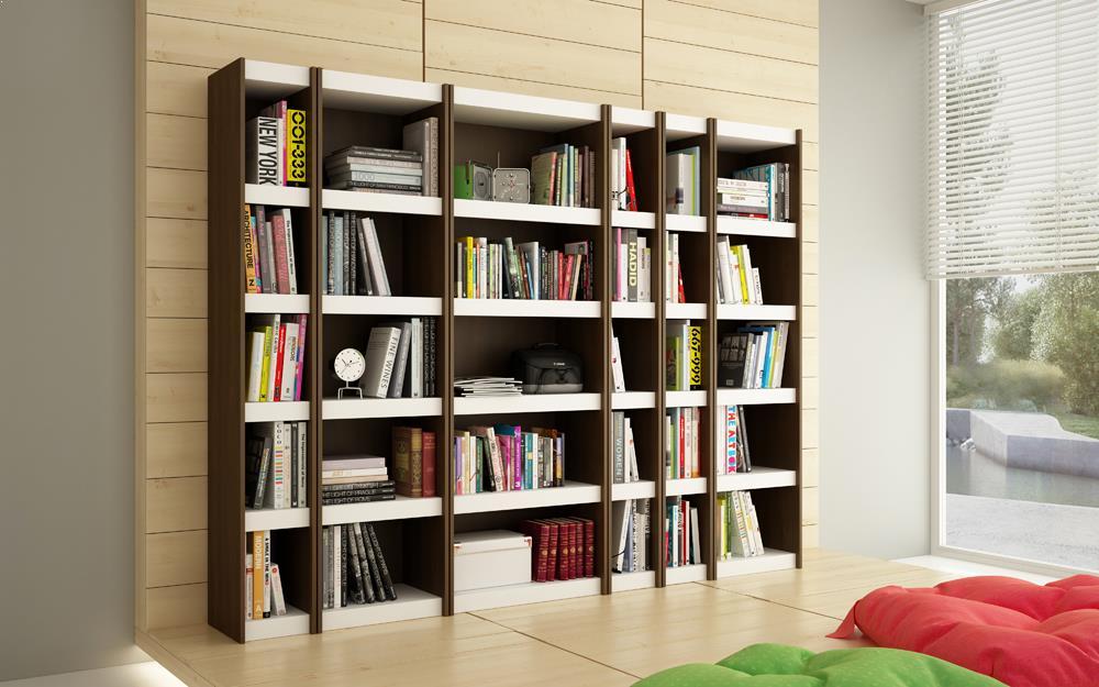 Accentuations by Manhattan Comfort Valuable Parana Bookcase 1.0 with 5 Shelves - Modish Store