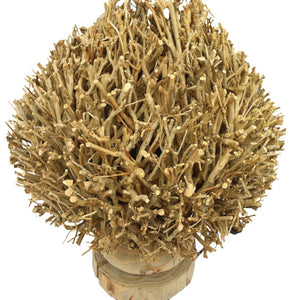 A&B Home 18.1" H Branch Wood Table Lamp