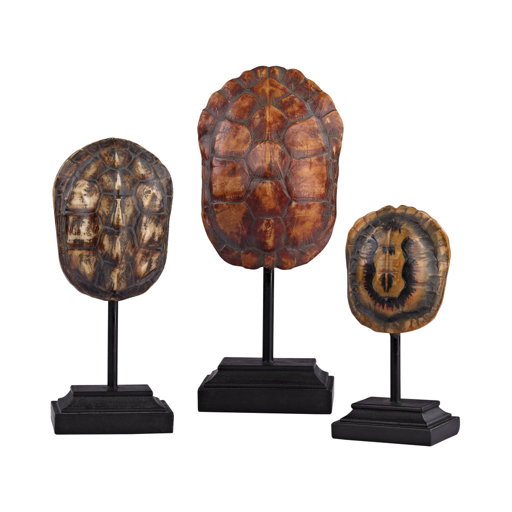 Sterling Industries Set of 3 Turtle Shells on Stands