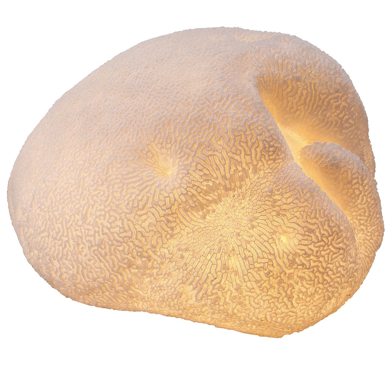 A&B Home Ctenella Coral LED Shade Accent