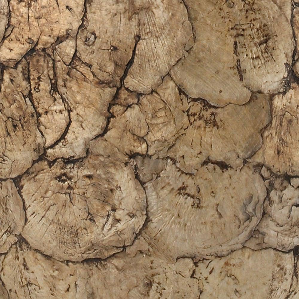 Stein World Cape Horn Table Lamp