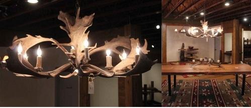 Antlerworx 8 Light Elongated Fallow Antler Chandelier (AWC-1)