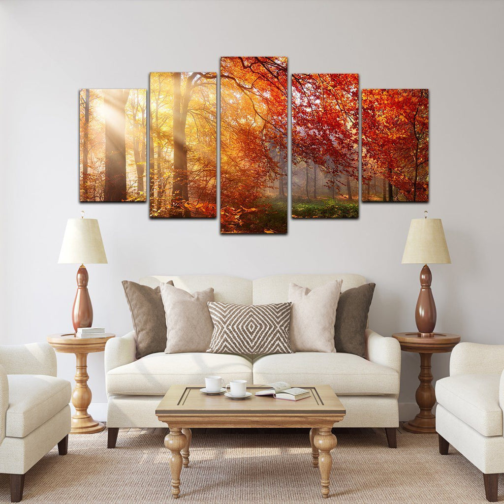 Autumn Forest Sun Rays