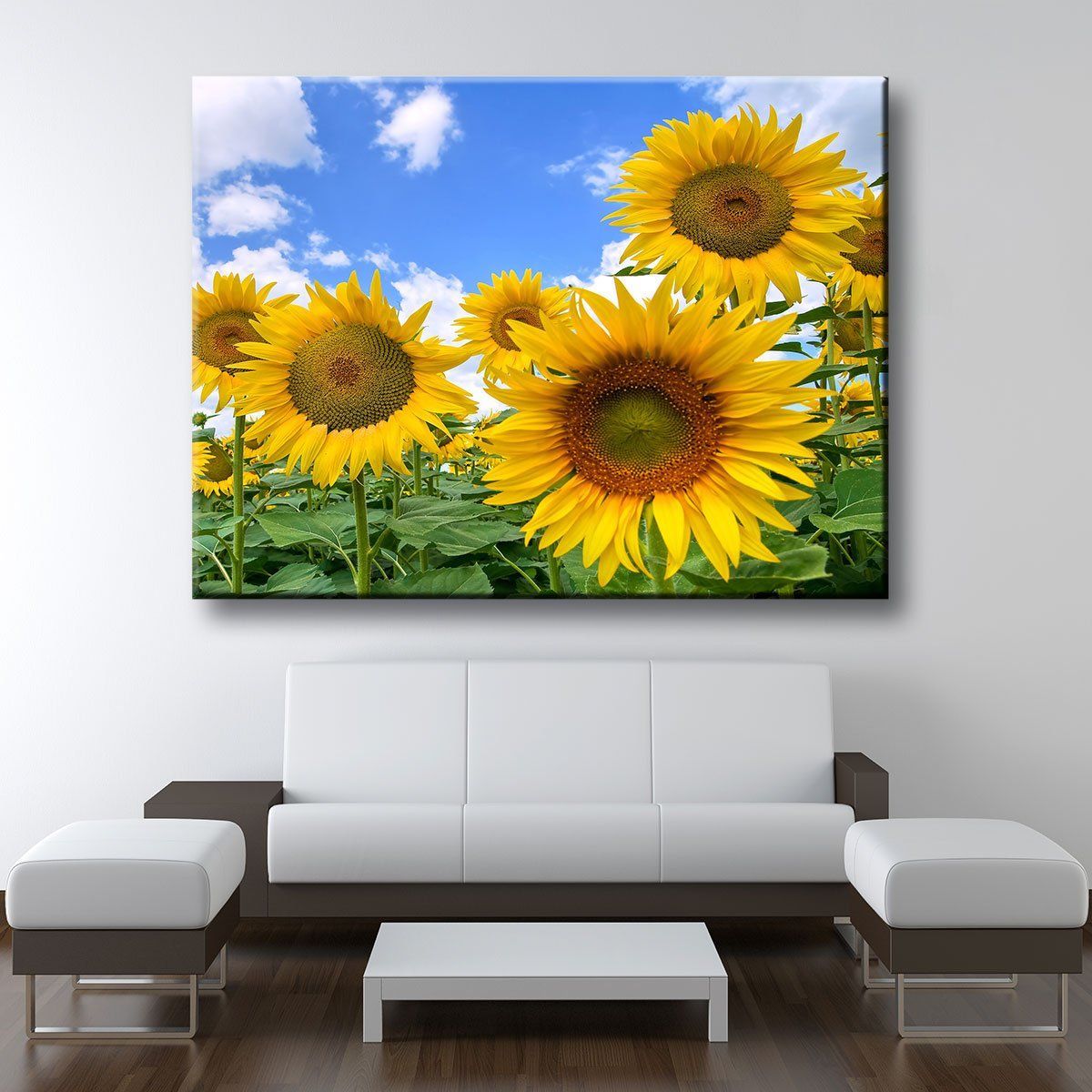 Blooming Sunflower Field