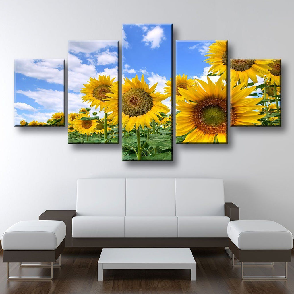 Blooming Sunflower Field