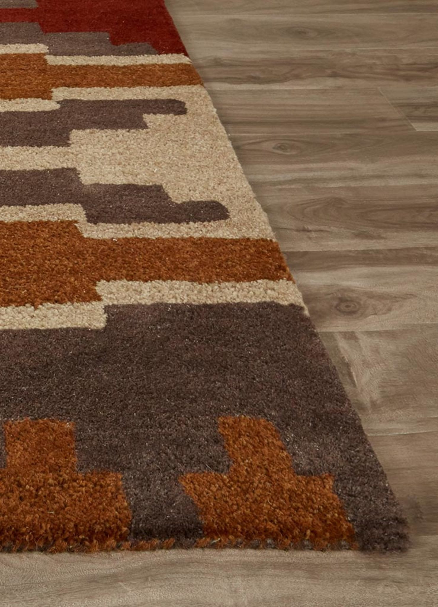 Alder Dachshund/Dark Gull Gray