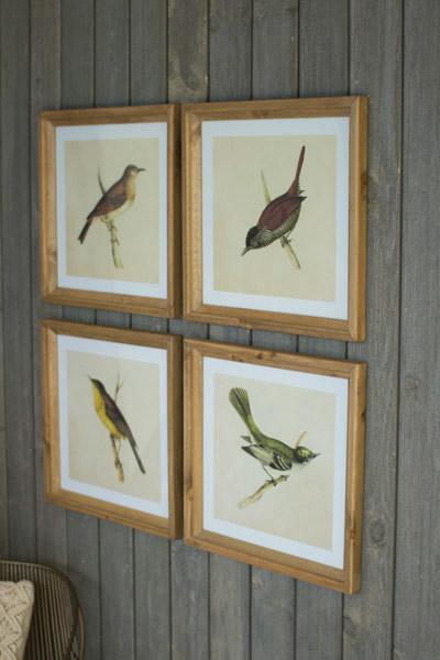 Set Of 4 Bird Prints Under Glass