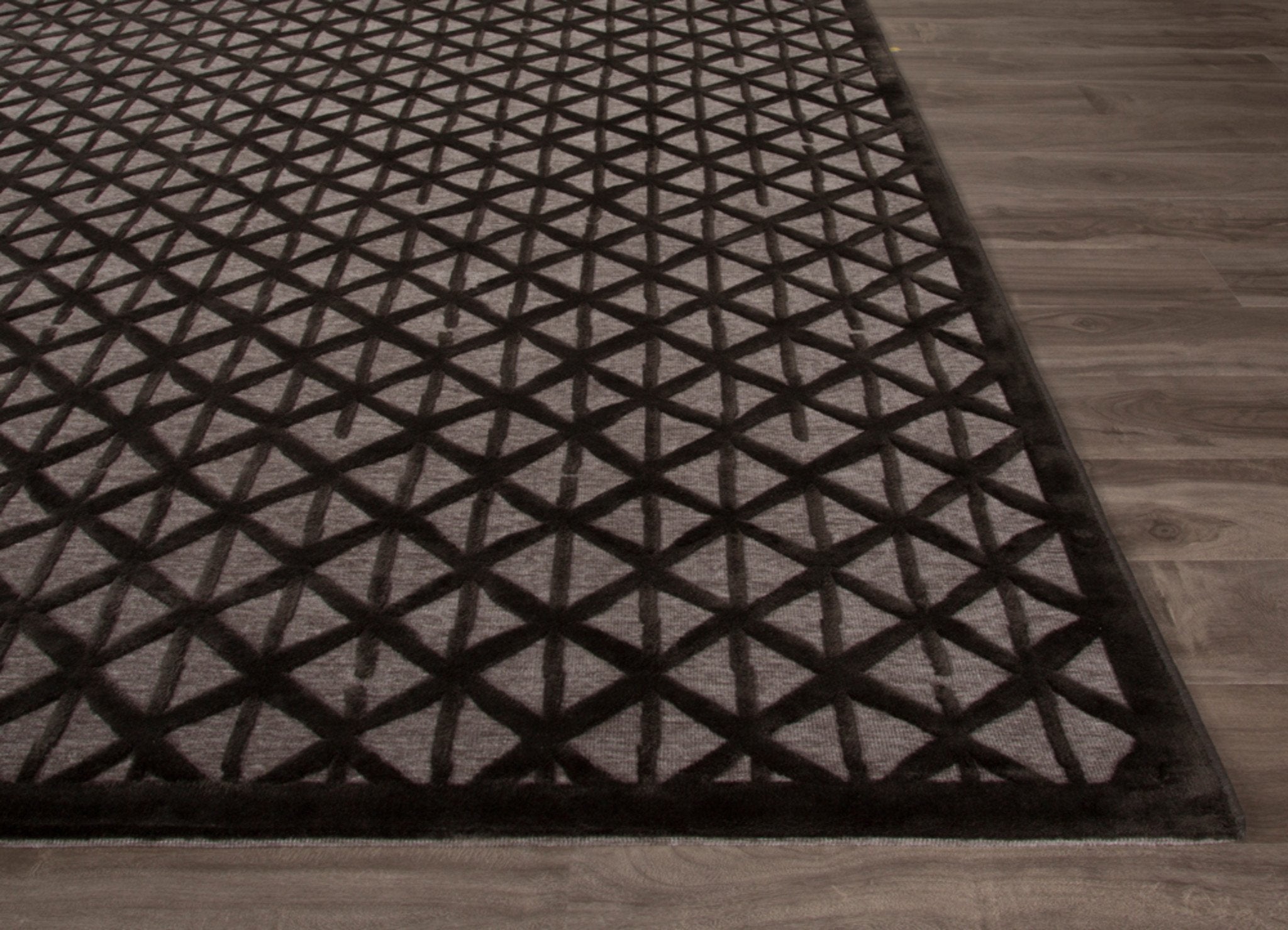 Stardust Paloma/Black Olive