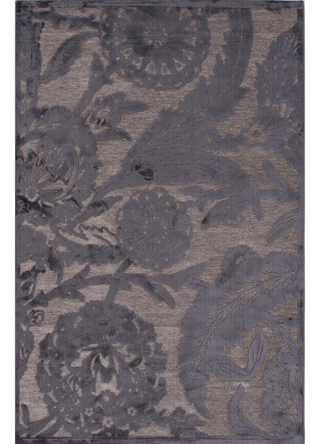 Astounding Smoked Pearl/Plum Kitten