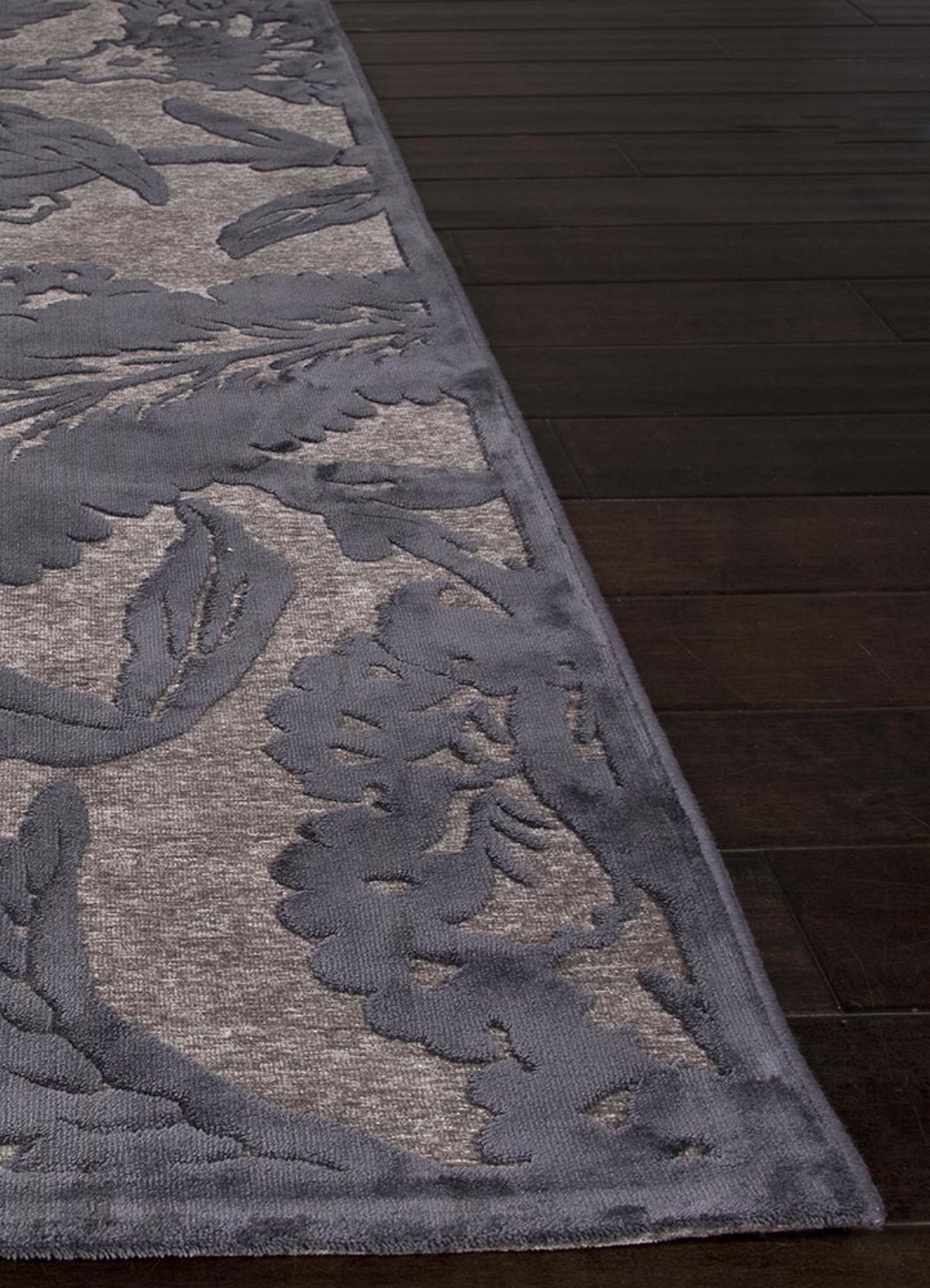 Astounding Smoked Pearl/Plum Kitten