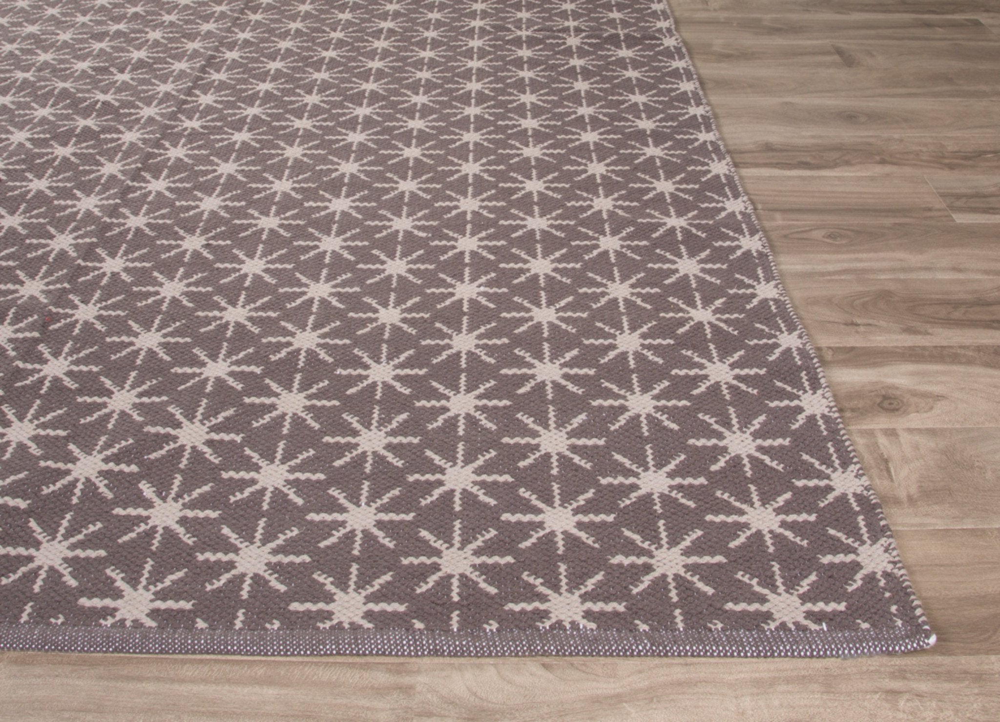 Angler Plum Kitten/Silver Cloud