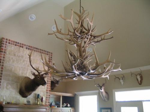 Antlerworx 12 Light Double Tier Elk Antler Chandelier (AWC-25)
