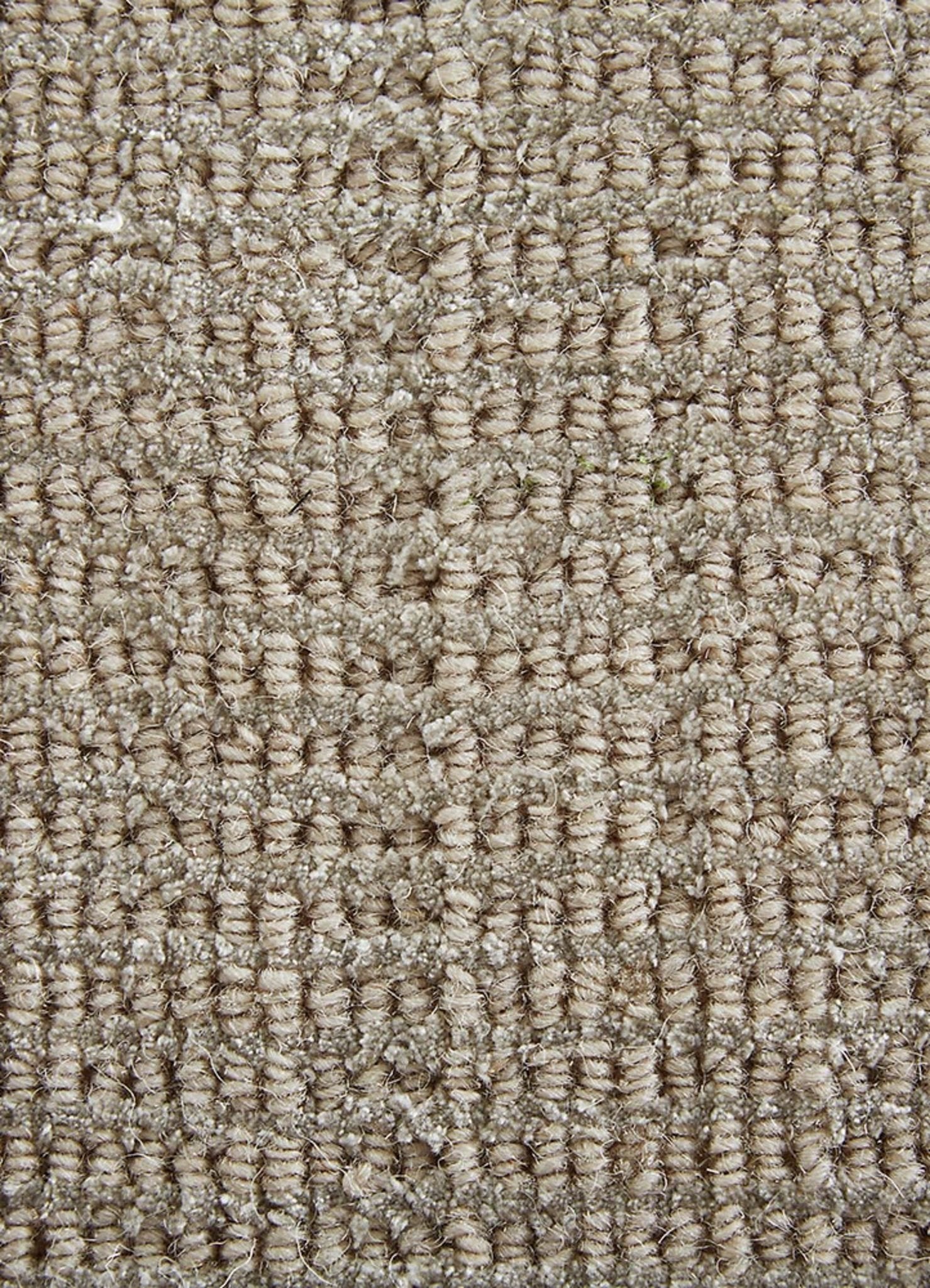 Asco Moonstruck/Birch