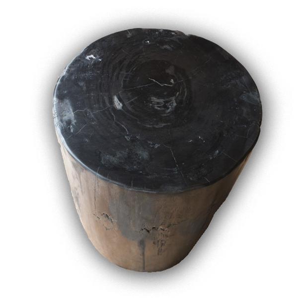 Aire Furniture Petrified Wood Log Stool PF-2115