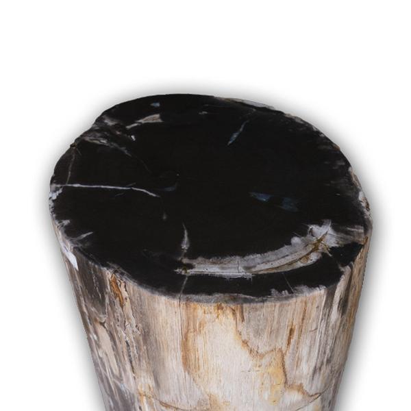 Aire Furniture Petrified Wood Log Stool PF-2116