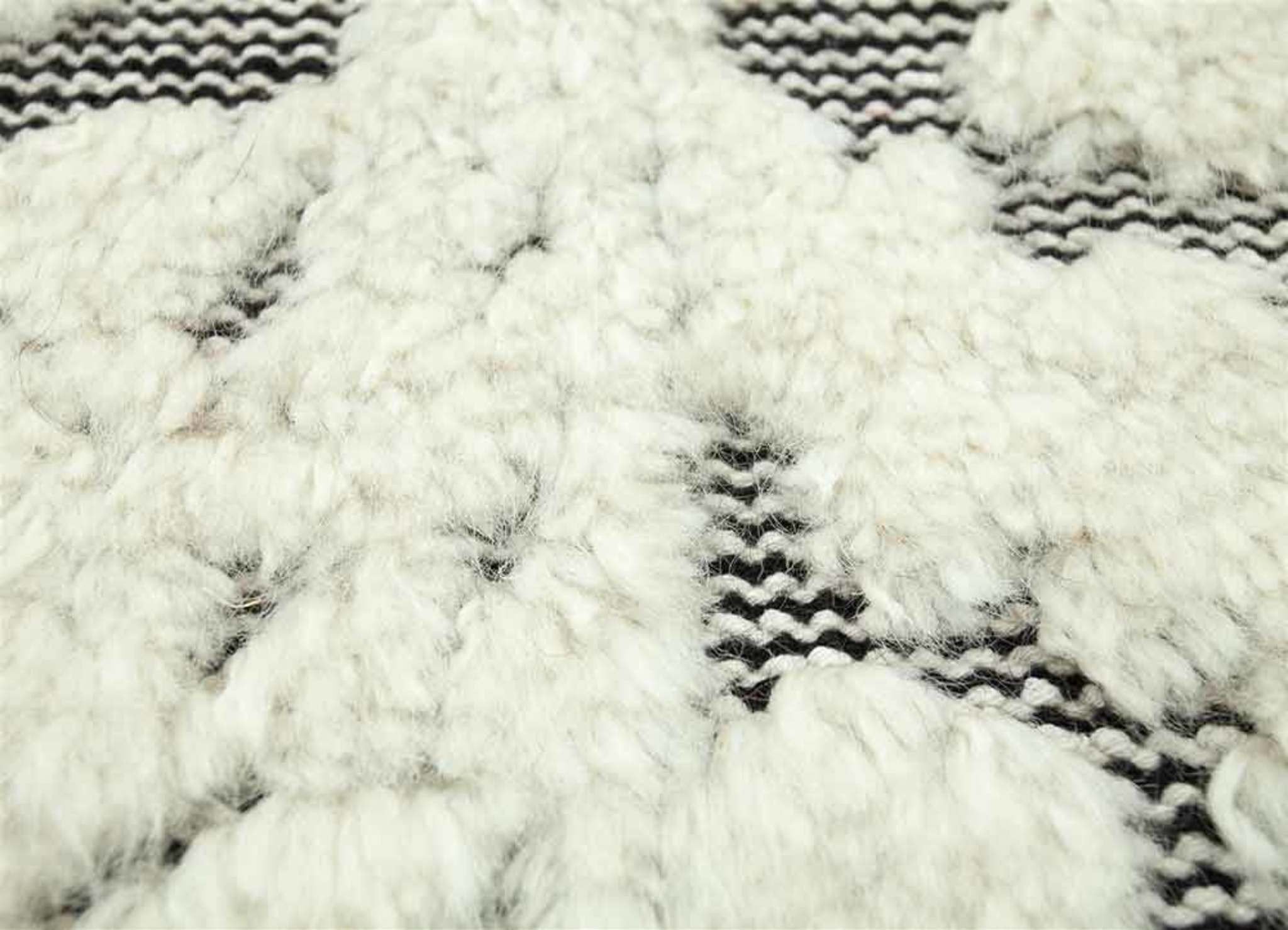 Shakur by Nikki Chu Ebony/Natural White Traditional Rug