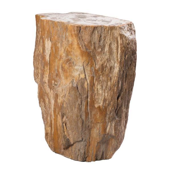Aire Furniture Petrified Wood Stool PF-1010
