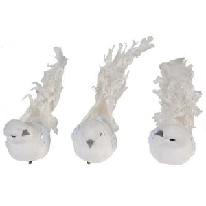 A&B Home Holiday Decor Fancy Tail Bird - 3 Asst Pc/Box - Set of 12