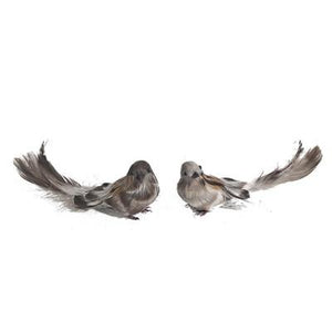 A&B Home Flying Sparrow W/Feet - 2 Asst Pc/Box - Set of 12