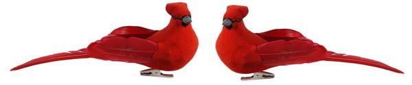 A&B Home Holiday Decor Bird - 2 Pc/Box - Set of 6