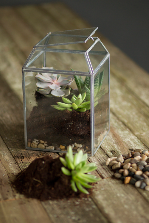 Small Zinc and Glass Terrarium