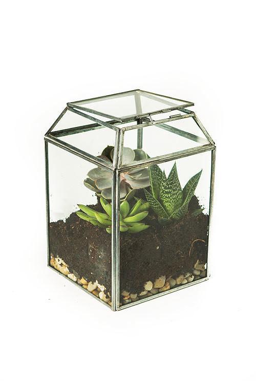 Small Zinc and Glass Terrarium