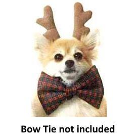 Antlers - Medium, https://s3.amazonaws.com/zcom-media/sites/a0iE000000PX1kbIAD/media/catalog/product/a/n/antlers_2.jpg, 1