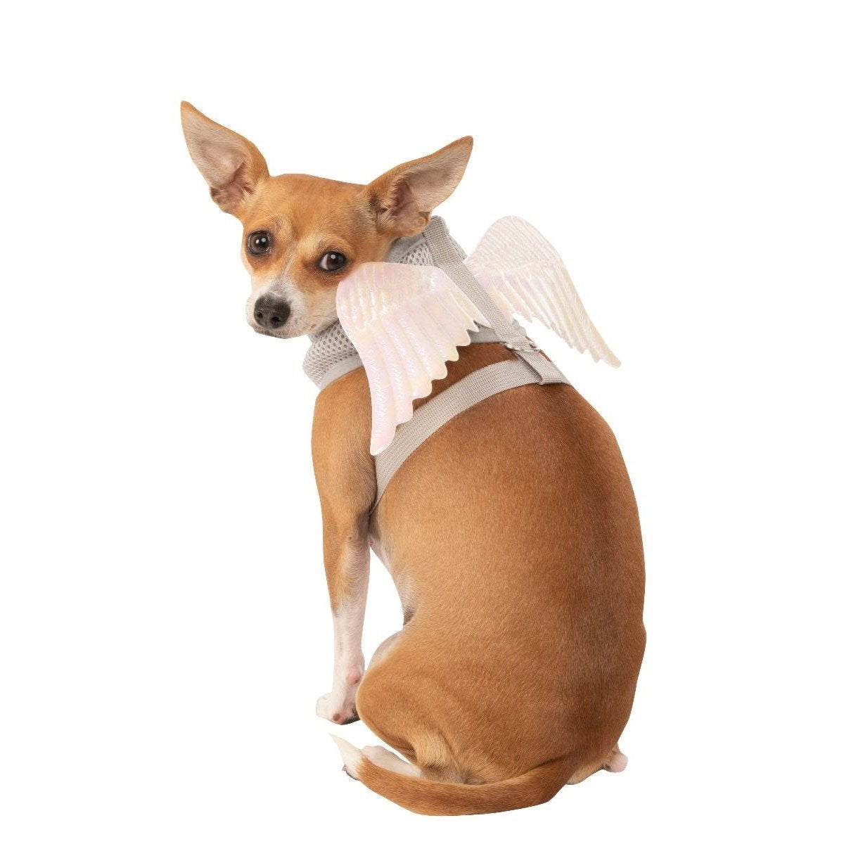 Angel Wings Pet Dog Harness by Rubie's Costume co