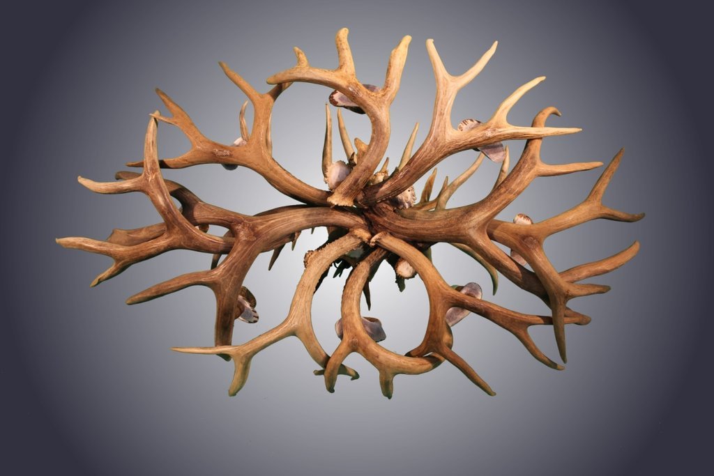 Antlerworx 8 Light Oval Mule Deer Antler Chandelier (AWC-5)
