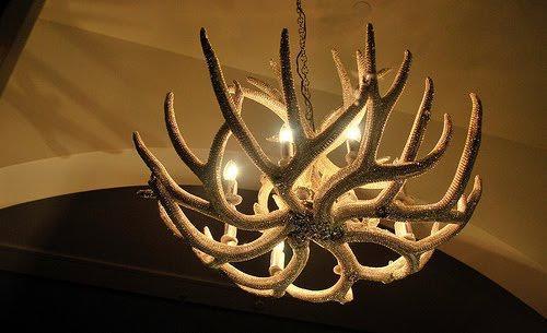 Antlerworx 8 Light Mule Deer Antler Chandelier (Sun Bleached Finish) (AWC-4SB)